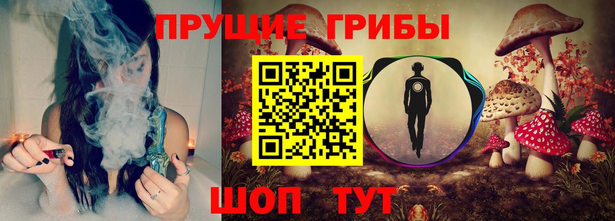 Ржев  хочу   Вход с VPN  Галлюциногенные грибы мицелий 
